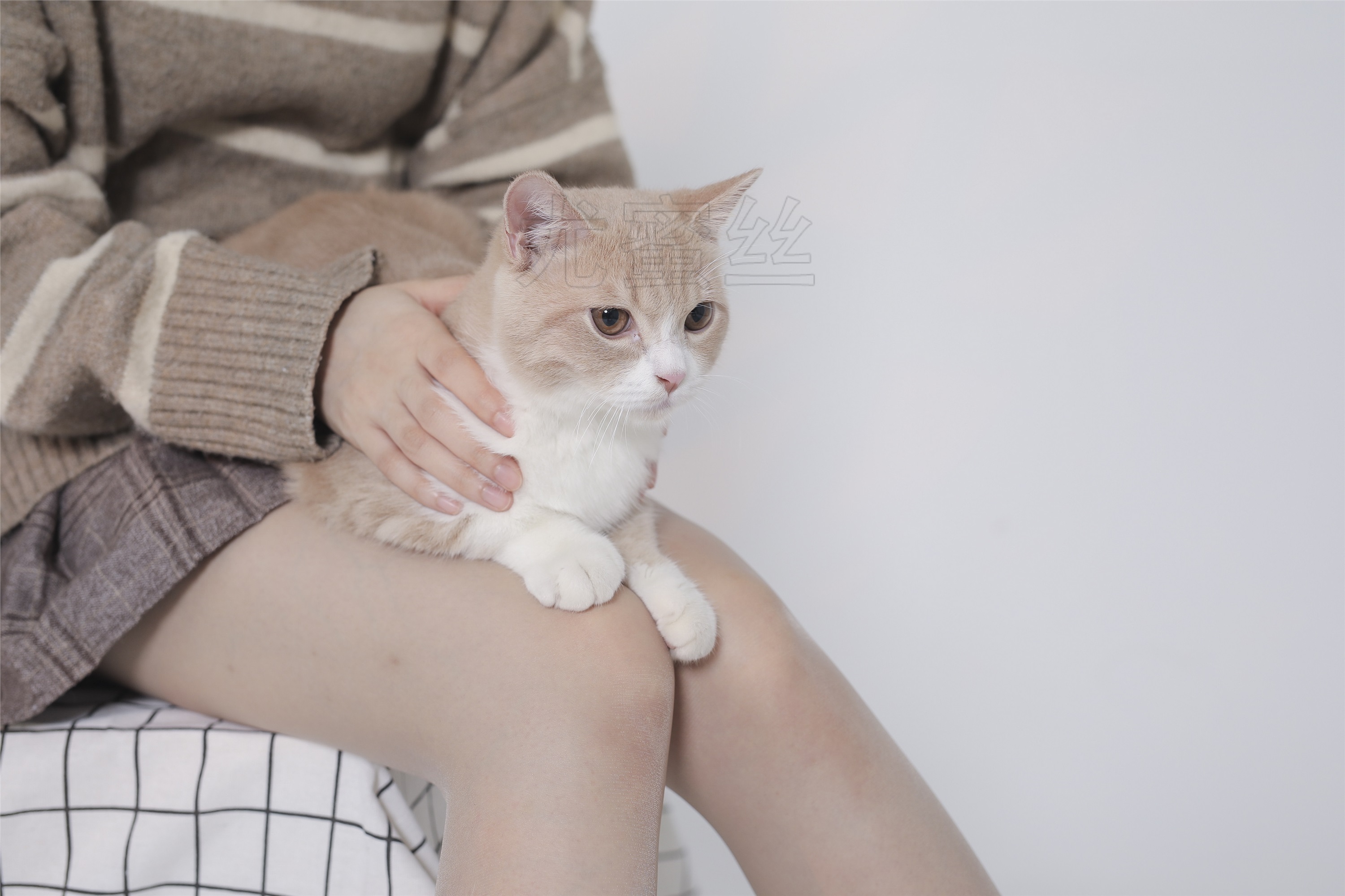 尤蜜丝 穿搭写真 NO.011